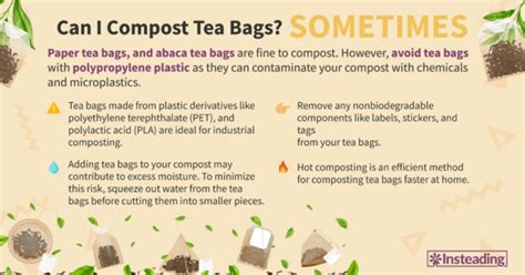 Can I Compost Tea Bags? Exploring the Surprising World of Tea Bag Decomposition