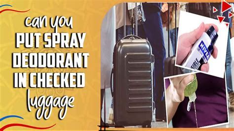 Can Knives Go in Checked Bags? And Why Do Airports Have a Love-Hate Relationship with Sharp Objects?